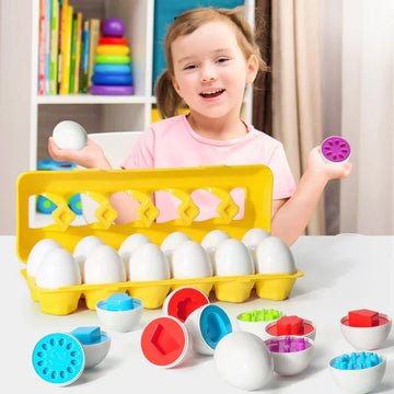 Montessori Egg Matching Toy